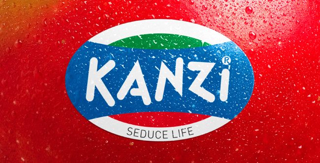 Kanzi Big Switch - Jellybean Creative Solutions