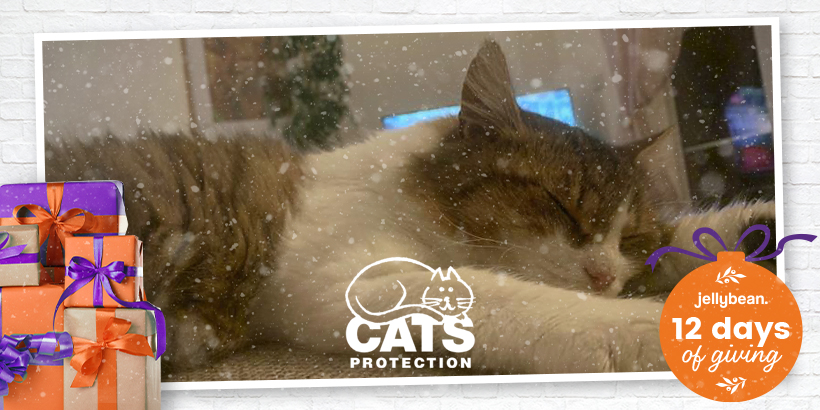 12 Days of Giving - Cass
