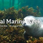 jellybean makes a splash for National Marine Week