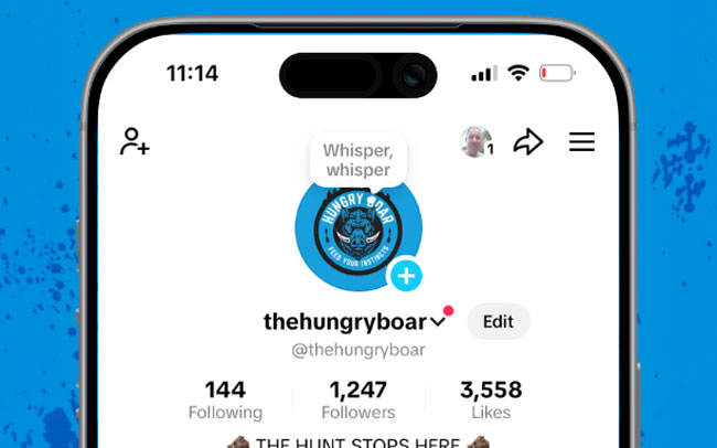 The Hungry Boar – Social Media Management