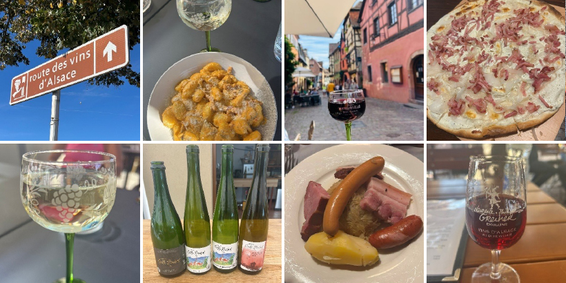 Alsace Food and Wine: Cycling the Route des Vins d'Alsace